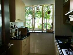 Jervois Regency (D10), Apartment #627414341